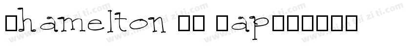 Chamelton 35 Gap字体转换